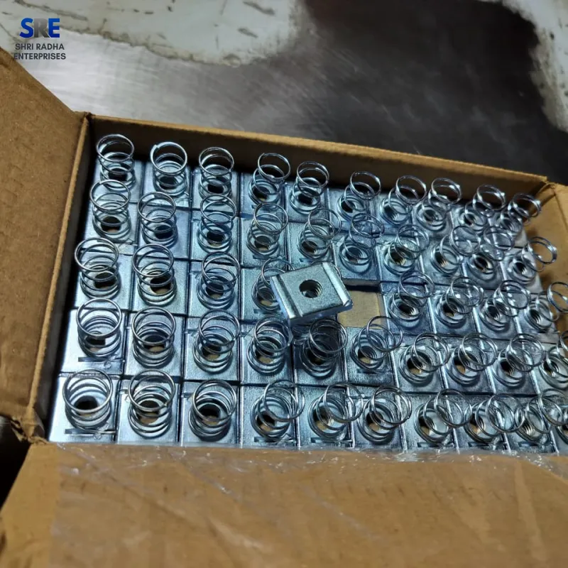 Spring Nut Packing Image Thumbnail 6